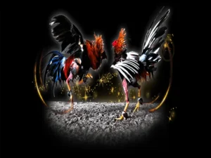 Bật Mí Bí Quyết Và Cách Chơi Đá Gà Sabong Tại VT999 Hiệu Quả