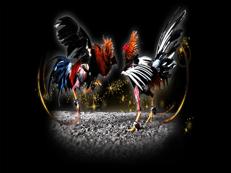 Bật Mí Bí Quyết Và Cách Chơi Đá Gà Sabong Tại VT999 Hiệu Quả