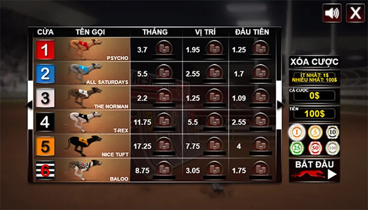 Áp Dụng Cách Chơi Game Nhanh Đua Chó Tại VT999 Đỉnh Cao